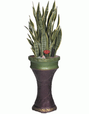 1200555524_t_flower006_017(1).gif