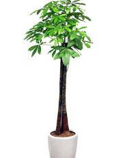 2013newflower_01(01).jpg