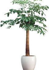 2013newflower_02(01).jpg