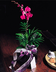 f05-01(1)1145425159.gif