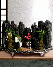 f11-06(1).gif