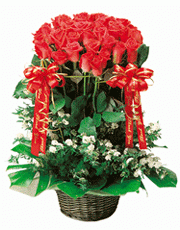 t_flower001_021(1).gif