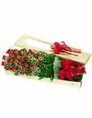 t_flower003_012(1).gif