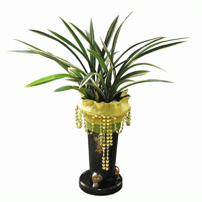 t_flower004_002(2).gif