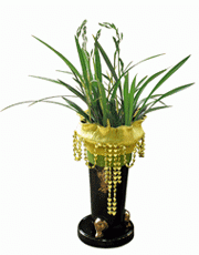 t_flower004_006(1).gif