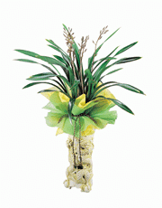 t_flower004_010(1).gif