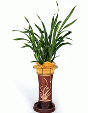 t_flower004_015(1).gif