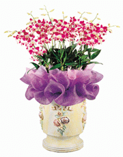 t_flower005_001(1).gif