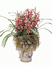 t_flower005_009(1).gif