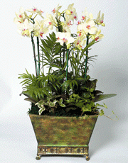 t_flower005_014(1).gif