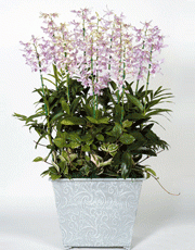 t_flower005_015(1).gif