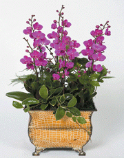 t_flower005_020(1).gif