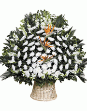 t_flower008_003(1).gif