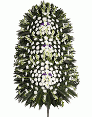 t_flower008_005(1).gif