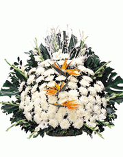 t_flower008_006(1).gif