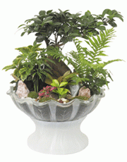 t_flower009_014(1).gif