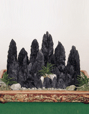 t_flower010_003(1).gif